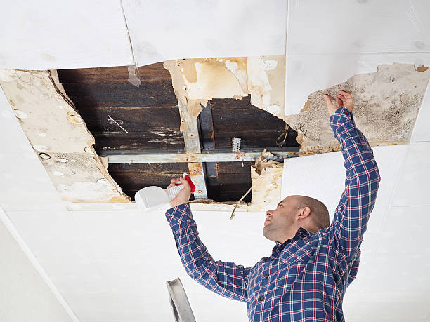 Best Mold Removal for HVAC Installations  in Catalina Foothills, AZ